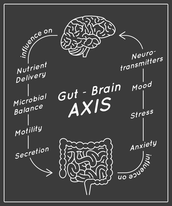 The curious relationship between our brain and gut