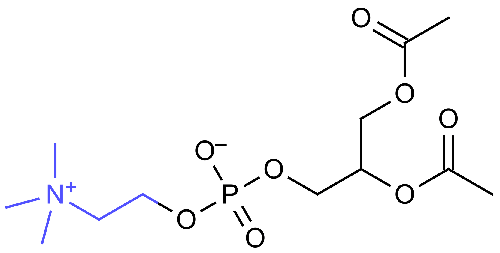 This is What Happens on Phosphatidylserine – The Good Mood Co